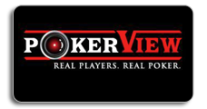 PokerView logo